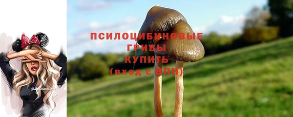 кокаин Гусев
