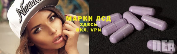 трава Гусиноозёрск
