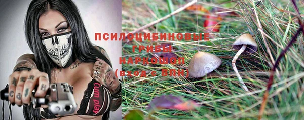 мяу мяу мука Гусь-Хрустальный