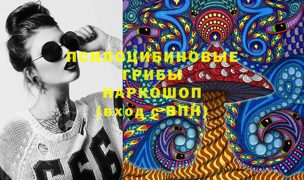 трава Гусиноозёрск