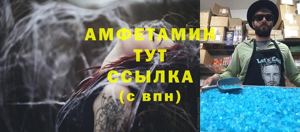 трава Гусиноозёрск