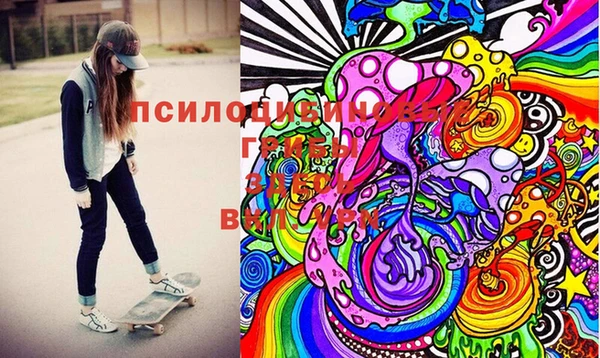 мяу мяу мука Гусь-Хрустальный