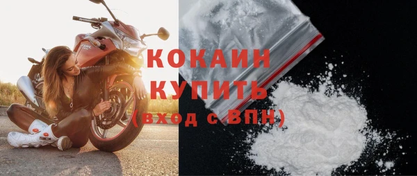 трава Гусиноозёрск