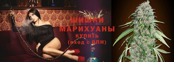 трава Гусиноозёрск