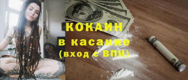 трава Гусиноозёрск