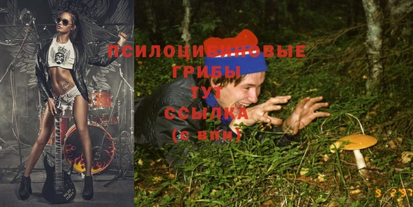 мяу мяу мука Гусь-Хрустальный