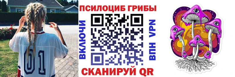 Галлюциногенные грибы Psilocybine cubensis  Купить где  Зеленодольск 